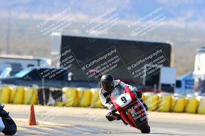 media/Feb-12-2022-SoCal Trackdays (Sat) [[3b21b94a56]]/Turn 2 (1045am)/